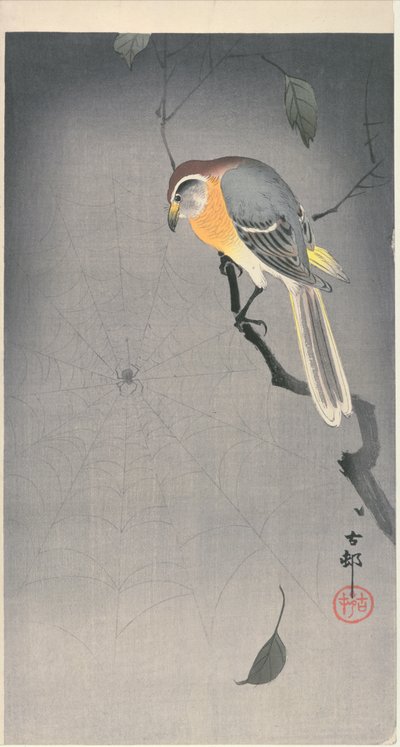 Bird on a branch watching a spider by Ohara Koson